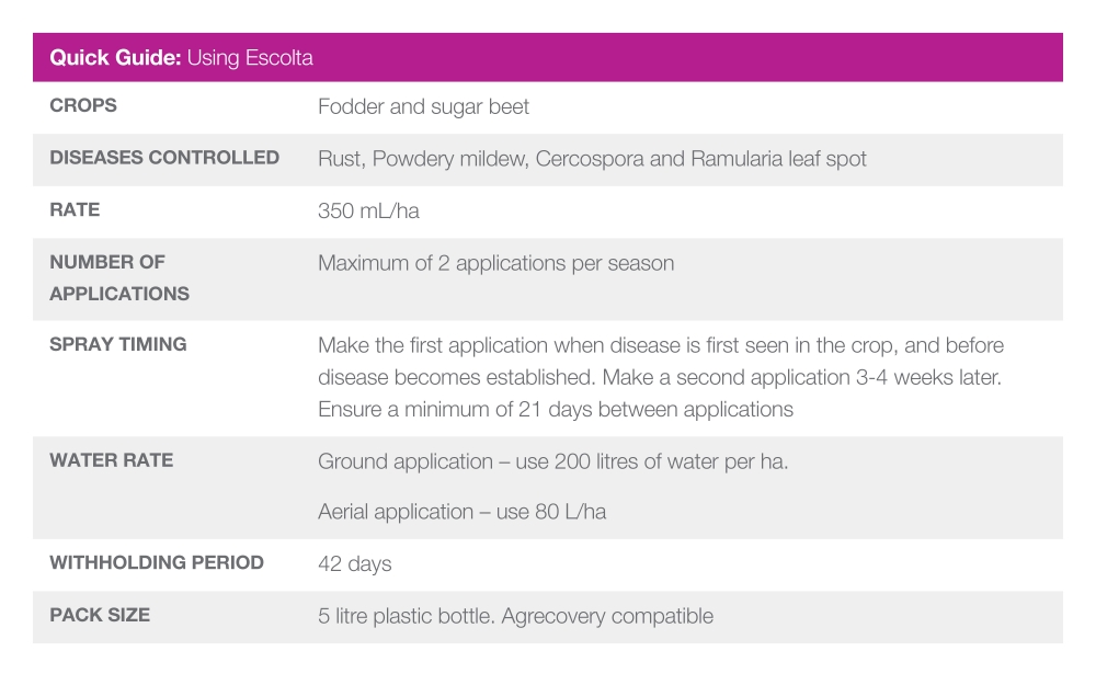 Beet Solutions - Bayer Crop Science New Zealand