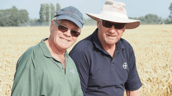 Guinness world wheat record Bayer New Zealand