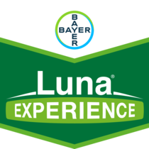 Luna® Experience